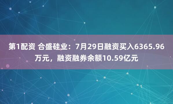 第1配资 合盛硅业：7月29日融资买入6365.96万元，融资融券余额10.59亿元