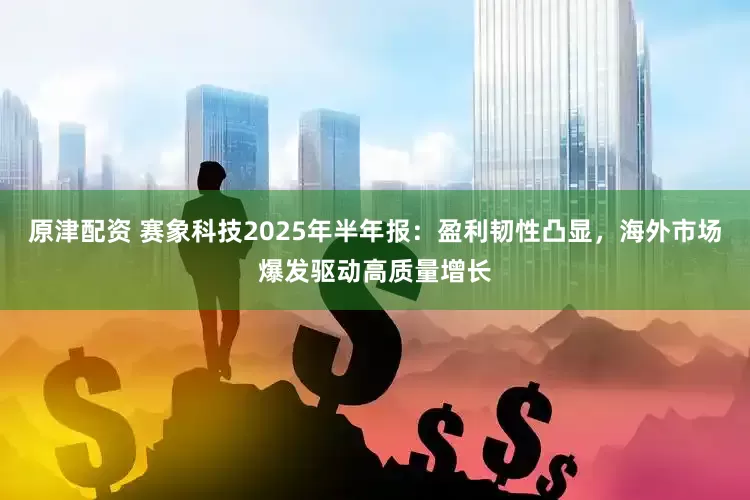 原津配资 赛象科技2025年半年报：盈利韧性凸显，海外市场爆发驱动高质量增长
